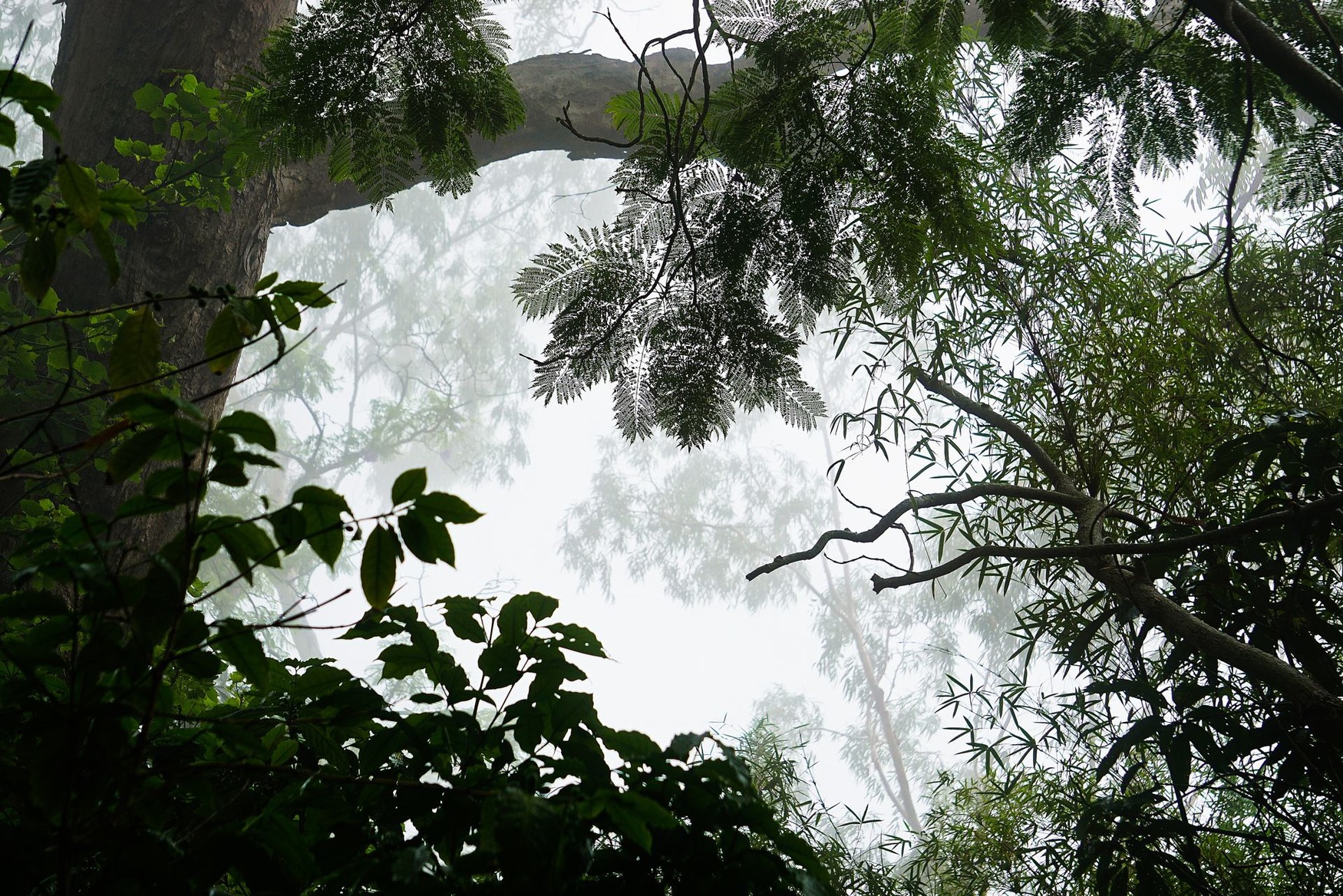 Slugfighter / Wipplay