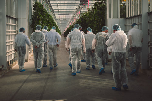 Industrial report shooting employer brand