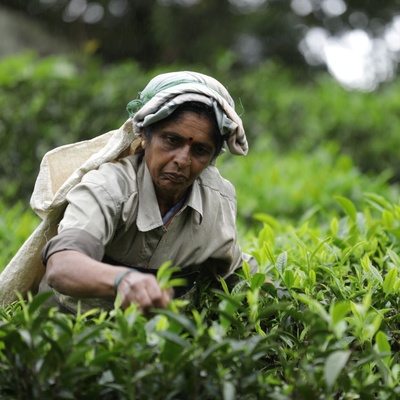 Responsible shooting for Kusmi Tea in India
