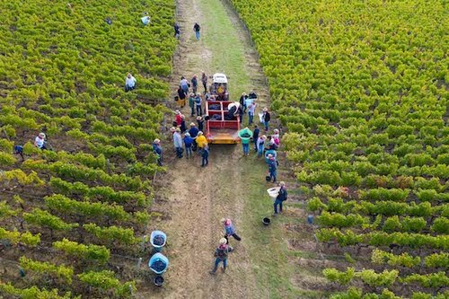 A photo shot with a drone for a harvest day in France