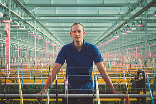 International shooting of corporate portraits.