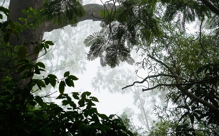 Slugfighter / Wipplay