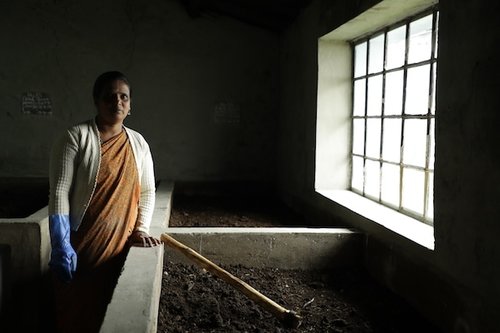 A photo shot in India to show the sourcing the ingredients used by Kusmi Tea