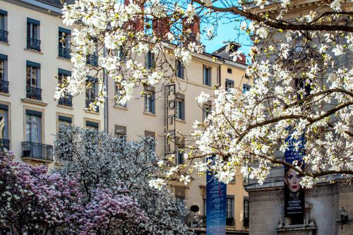 Shooting photo de l'hôtel réalisé par des photographes spécialisés dans l'architecture et l'immobilier.