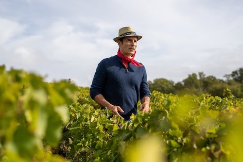 A photo shot in France by a local photographer for the photo database of Maison Bouey