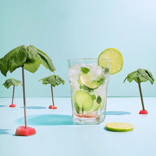 Picture of a mint mojito cocktail